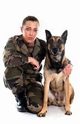 Image result for Military War Dogs