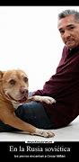 Image result for Cesar Millan Pit Bull