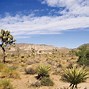 Image result for Mojave Desert National Monument