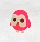 Image result for Mega Neon Owl