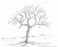 Image result for Tree Pencil Sketch