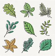 Image result for Leaf Line Art for Beginners