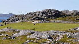 Image result for Nuuk Golf Club