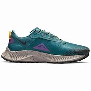 Image result for Nike Men's Trail Shoes