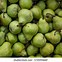 Image result for Average Texture of a Pear