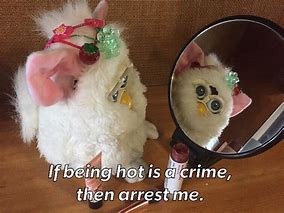 Image result for bean furby meme