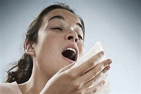 Image result for Person Sneezing or Coughing