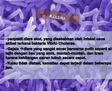 Image result for Penyakit Kista Disebabkan Oleh