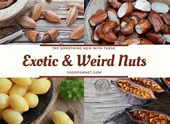 Image result for Verious Nuts Imagw