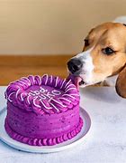 Image result for Cheer Up Dog Cake