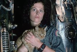 Image result for JonesY Cat Alien