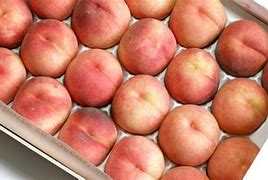 Image result for Identify Peach Tree