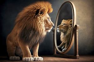 Image result for Cat Mirror Sees Lion