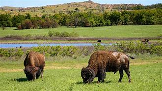 Image result for Patriotic Landmarks in Oklahoma