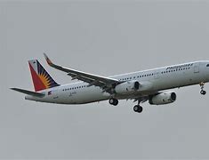 Image result for Pal A321