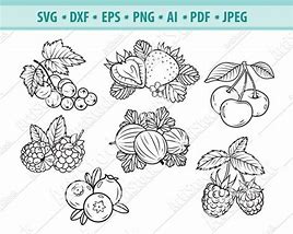 Image result for Berry Vine SVG