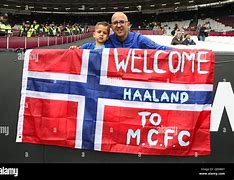 Image result for Hallands Flagga