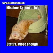 Image result for Cat Memes Funny Clean Work