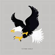 Image result for Scenary of Eagle Design