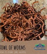 Image result for Bowl of Worms