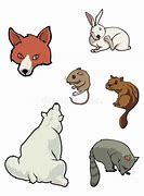 Image result for Zoo Mammals