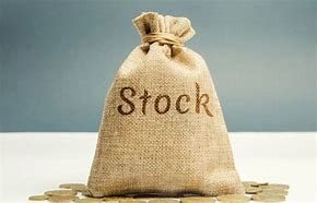 Image result for Common Stock