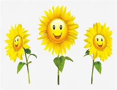 Image result for Sunflower Smile Graphic