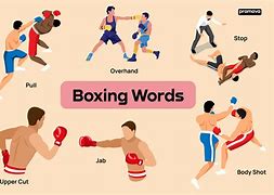 Image result for Boxing Punches