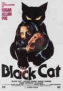 Image result for Top Cat Blak