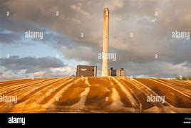 Image result for Peat Plant