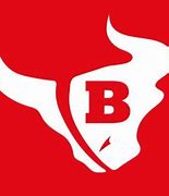 Image result for Bloomingdale Bulls Basketball Logo