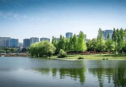 Image result for Ciudad Con Lago