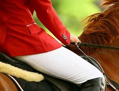 Image result for Horse Riding Jeans