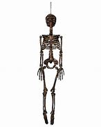 Image result for Moss-Covered Skeleton