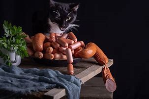 Image result for Cat Eating Sausage