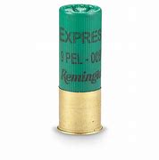 Image result for Buckshot Shells