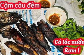 Image result for Cá Lóc Nướng Rơm