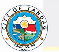 Image result for Tandag City PNP Logo