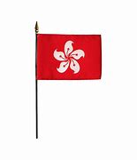 Image result for Hong Kong Balck Flag