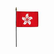 Image result for Hong Kong Flag Rectangular