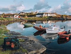 Image result for Isle of Coll Grapevine