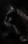 Image result for Black Cat Background 4K