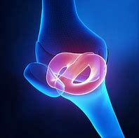 Image result for Knee Joint Meniscus