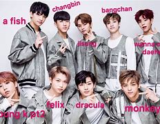 Image result for Baby Skz