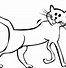 Image result for Cat Balck and White Cartoon