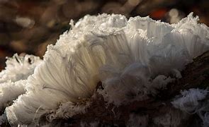 Image result for Ice Cfream Hair