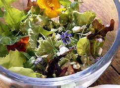 Image result for green salad with feta cheese