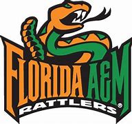 Image result for FAMU Snake PNG