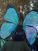 Image result for Blue Morpho Butterfly Wings