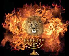 Image result for Fire Lion of Judah